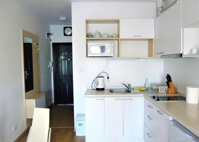 Apartment Lozenets 아파트 로제넷츠